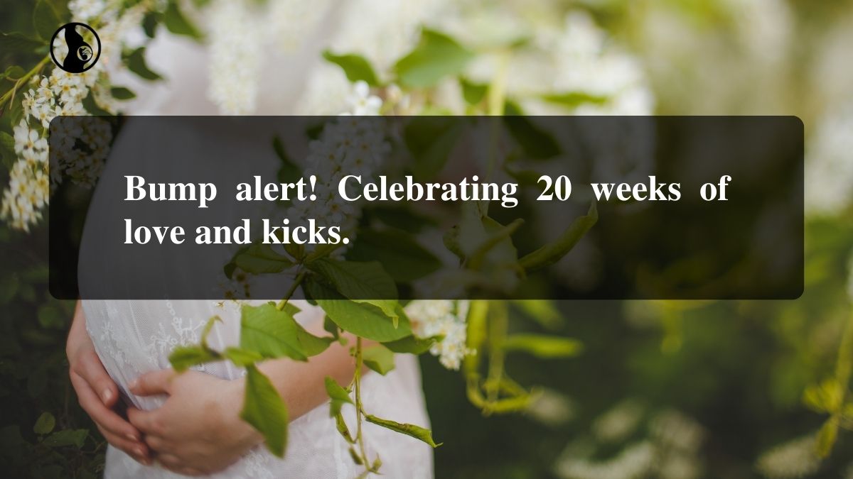 20 weeks pregnant captions to celebrate a memorable milestone