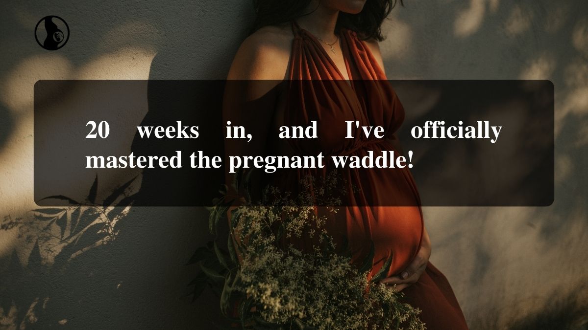 Funny 20 weeks pregnant captions 