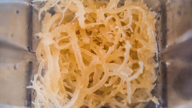 Is sea moss safe during pregnancy Who should avoid